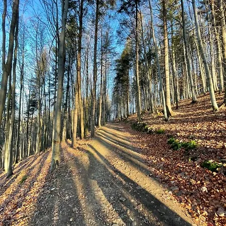 Carpe Diem * أوسترون