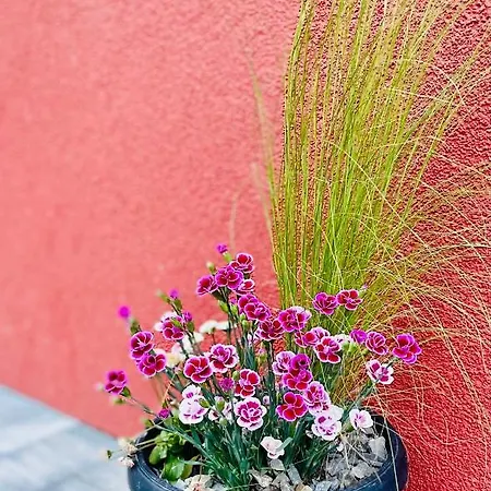 Carpe Diem * Ustroň