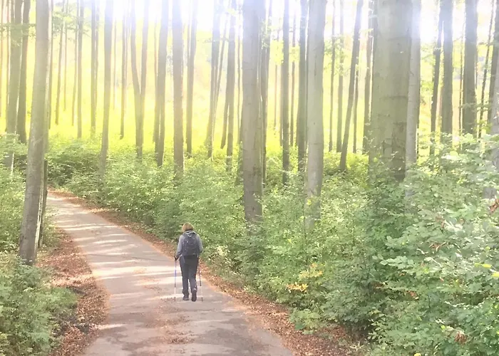 Apartmán Carpe Diem