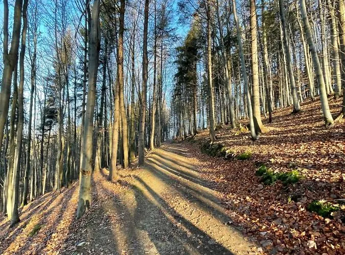 Carpe Diem * אוסטראון