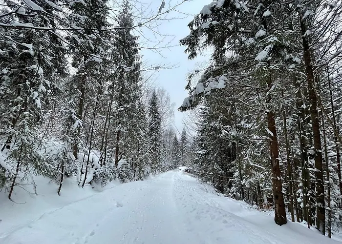 Carpe Diem דירה אוסטראון